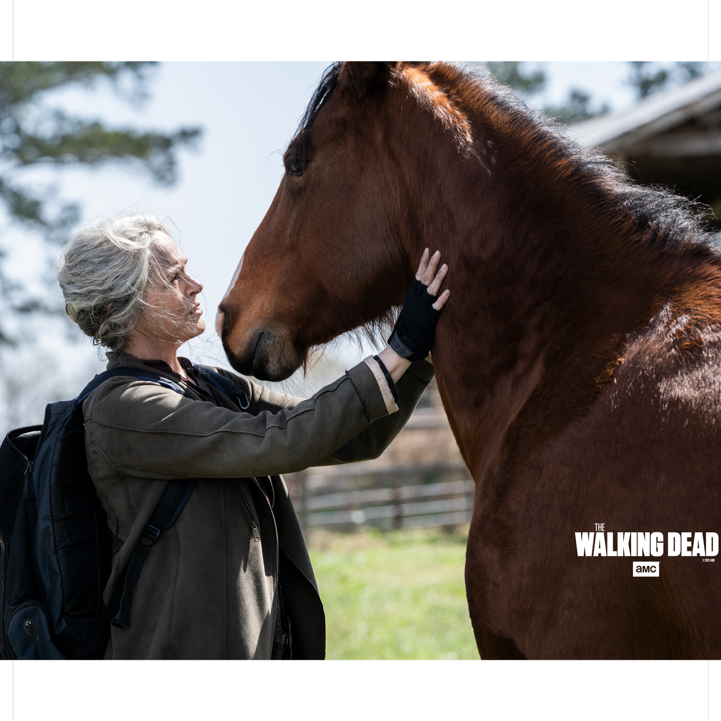 The Walking Dead Carol and Horse Sherpa Blanket