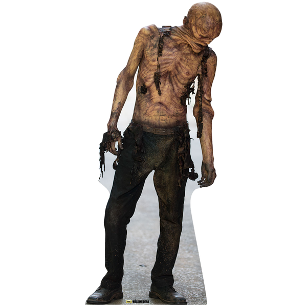 ウオーキングテッド3.4.5.6.7.8.9　14box The Walking Dead Walker 03 Cardboard Cut Out Standee
