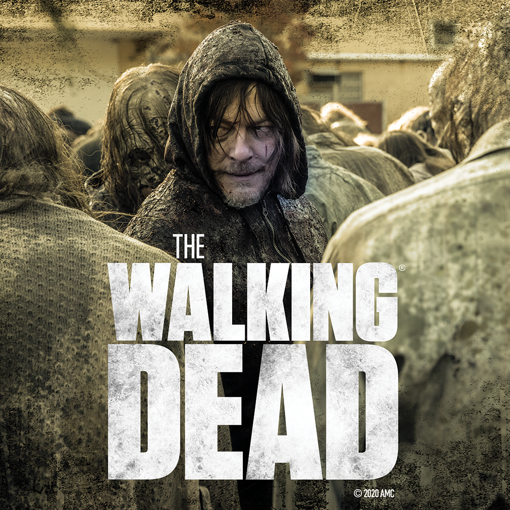 The Walking Dead Daryl Season 10 Premium Satin Poster-2