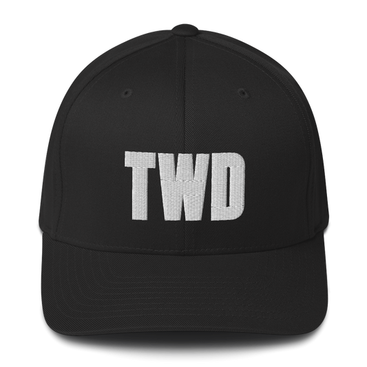 The Walking Dead Logo Embroidered Hat-1