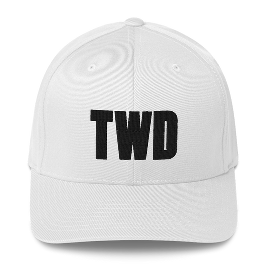 The Walking Dead Logo Embroidered Hat-0