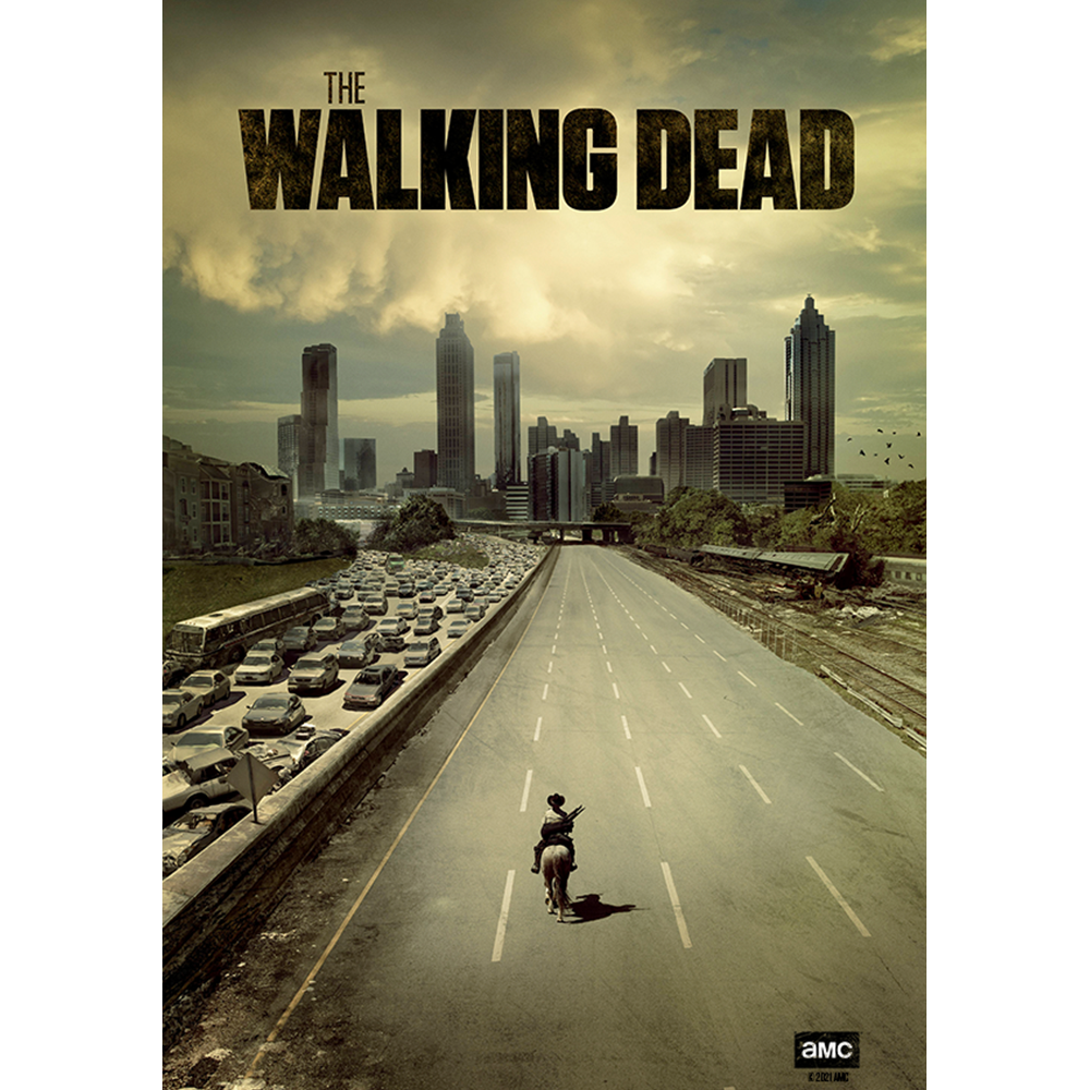 The Walking Dead Season 1 Key Art Sherpa Blanket – The Walking